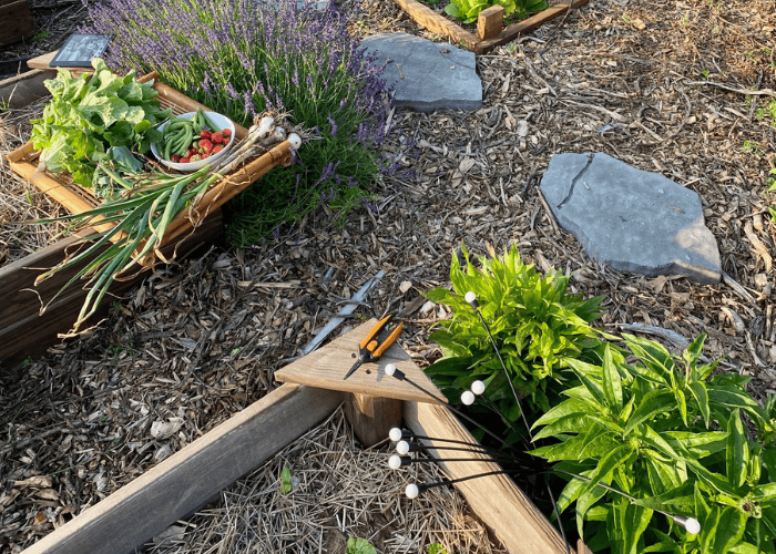 Prepare garden for winter